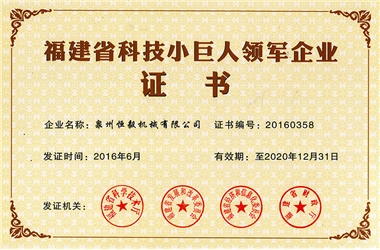 Сертификат ведущего предприятия Little Giant в области науки и технологий провинции Фуцзянь